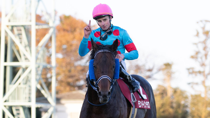 見応えのあるステイヤーズSを制したのはモンドインテロ　先週予想した重賞レースを振り返る