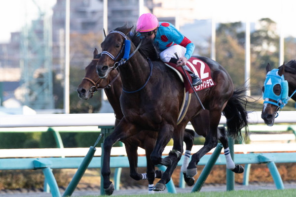 2019年ステイヤーズSを制したモンドインテロⒸSPAIA（撮影：三木俊幸）