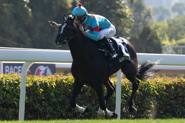 2019年香港ヴァーズを勝ったグローリーヴェイズⒸSPAIA（撮影：三木俊幸）