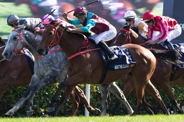 2019年香港スプリントを勝ったビートザクロックⒸSPAIA（撮影：三木俊幸）