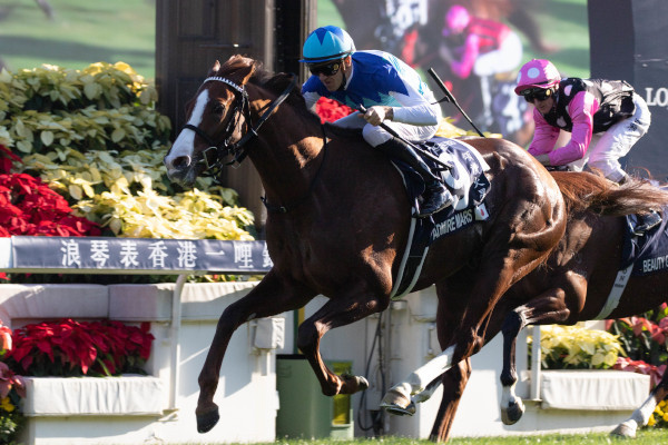 2019年香港マイルを勝ったアドマイヤマーズⒸSPAIA（撮影：三木俊幸）