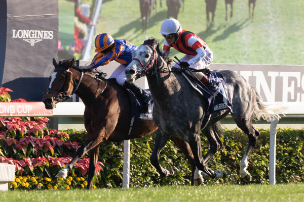 2019年香港カップを勝ったウインブライトⒸSPAIA（撮影：三木俊幸）