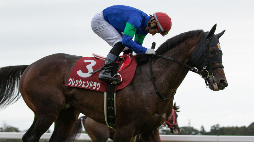 【中山金杯】「平均上がり34.7」「4角平均通過2.4P」「4角9番手以内」馬場傾向に合う馬は？