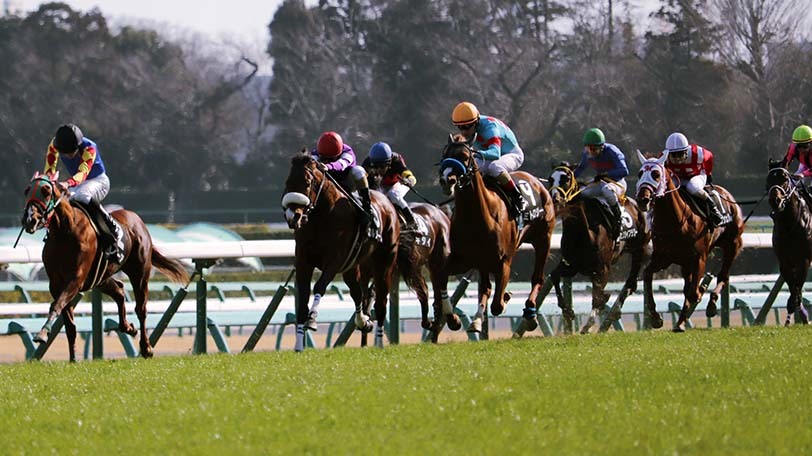 【京都金杯】目指せ新年初当たり！４つのデータで準備万端！