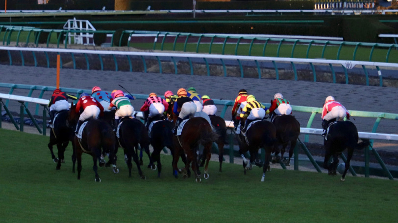 【淀短距離S】思い切って配当重視　データから本命に導かれた高配の使者は？