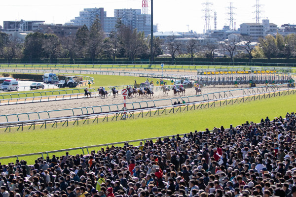 2020年中山金杯の日の競馬場の写真ⒸSPAIA（撮影：三木俊幸）