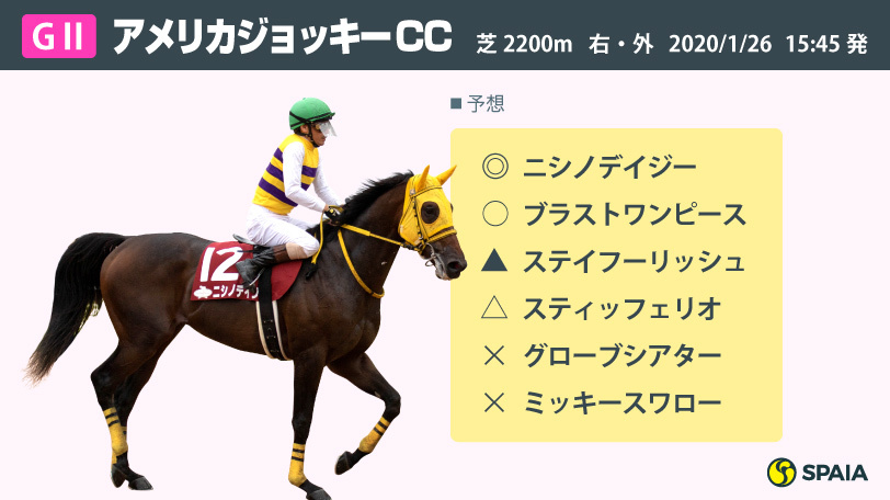 【AJCC】「上がり35秒台の決着」「4角平均通過ポイント2.5P」「道悪適性」 馬場を味方にできるのはニシノデイジー