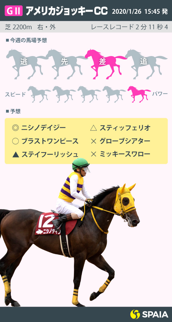 インフォグラフィックⒸSPAIA