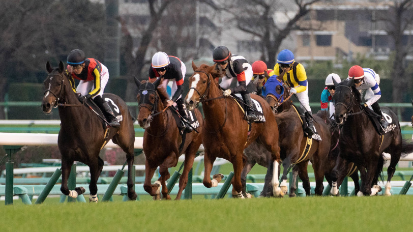 【京都金杯】サウンドキアラが快勝！京都初日から見えたのは「内枠有利＋京都巧者」というヒント