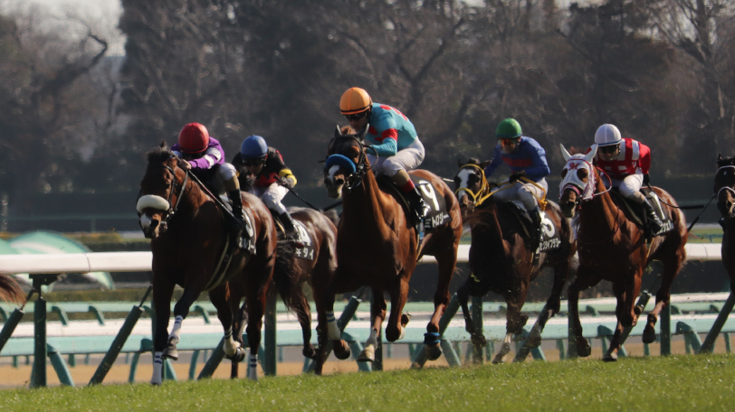 【フェアリーS】前走新馬・未勝利勝ちが有利　当日まで覚えておきたい3つのデータ