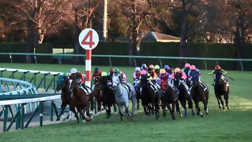 中山金杯はウインブライトが勝利！ 昨年の雪辱を晴らす豪快な差し切り