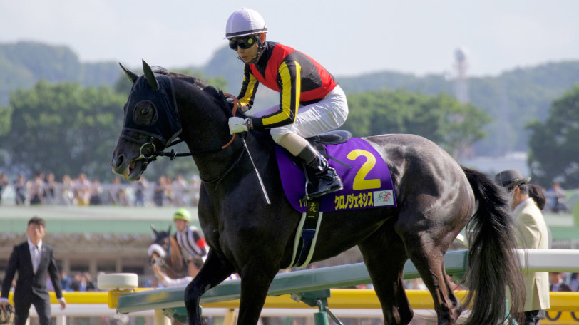 京都記念で本命に推されたクロノジェネシスⒸSPAIA（撮影：三木俊幸）