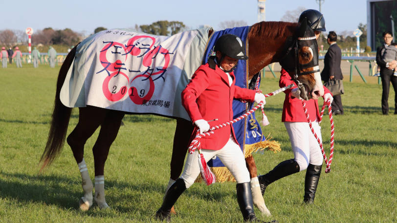 フェブラリーSで本命に推されたインティⒸSPAIA（撮影：三木俊幸）