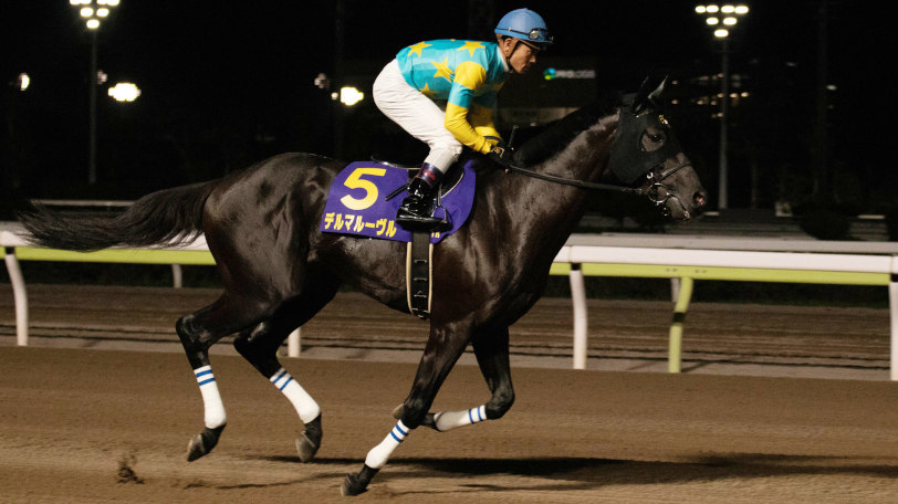 【フェブラリーS】前年のチャンピオンズC好走馬は苦戦傾向　東大HCの本命は？