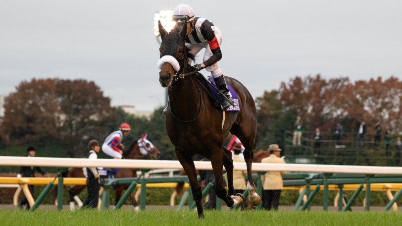 【京都記念】クラシック2、3着馬が好走の傾向　京大競馬研の注目の3頭は？