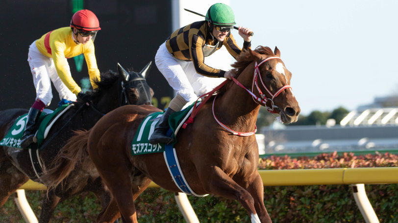 【フェブラリーS】初ダートで勝ってさらに上積みがある!京大競馬研の本命はモズアスコット