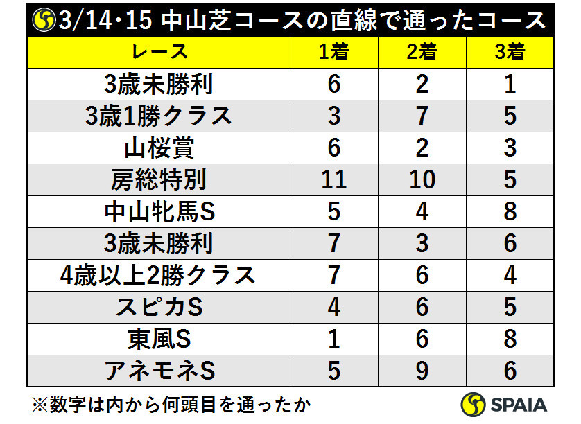 3/14･15中山芝コースの直線で通ったコースⒸSPAIA