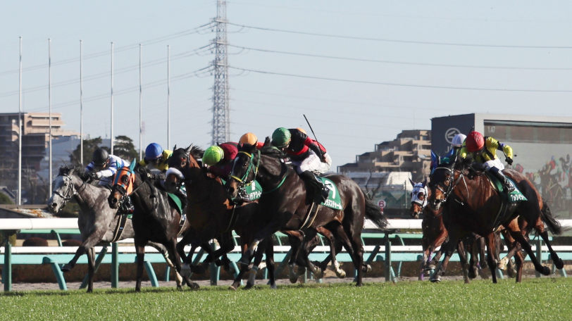 競馬_イメージ画像ⒸSPAIA(撮影三木俊幸)