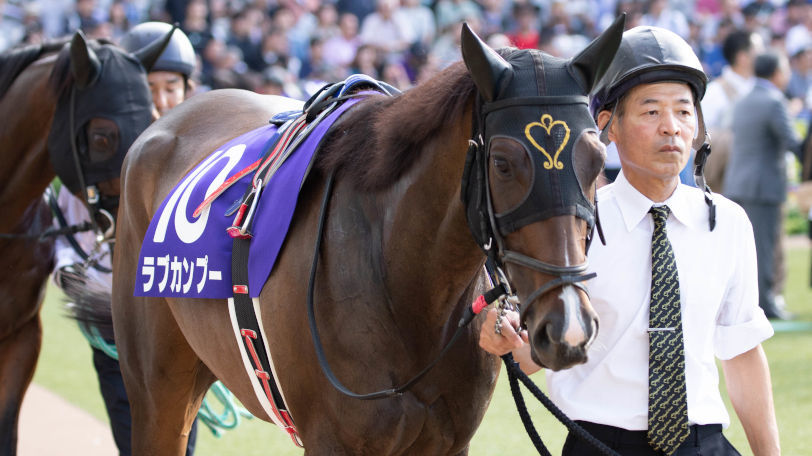 【シルクロードＳ】復活の兆し　京大競馬研究会の本命はラブカンプー